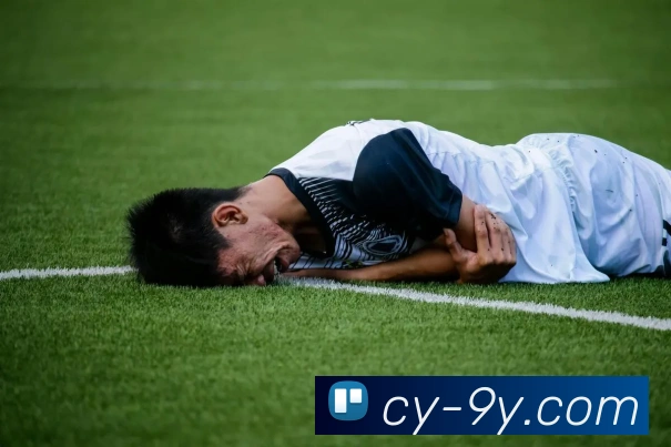 九游官网平台生态图