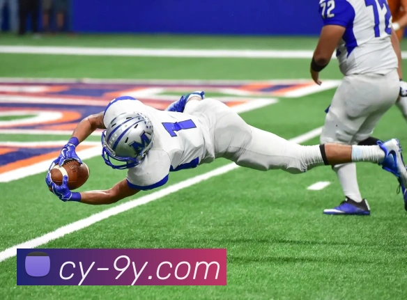 九游官网APP 封面图